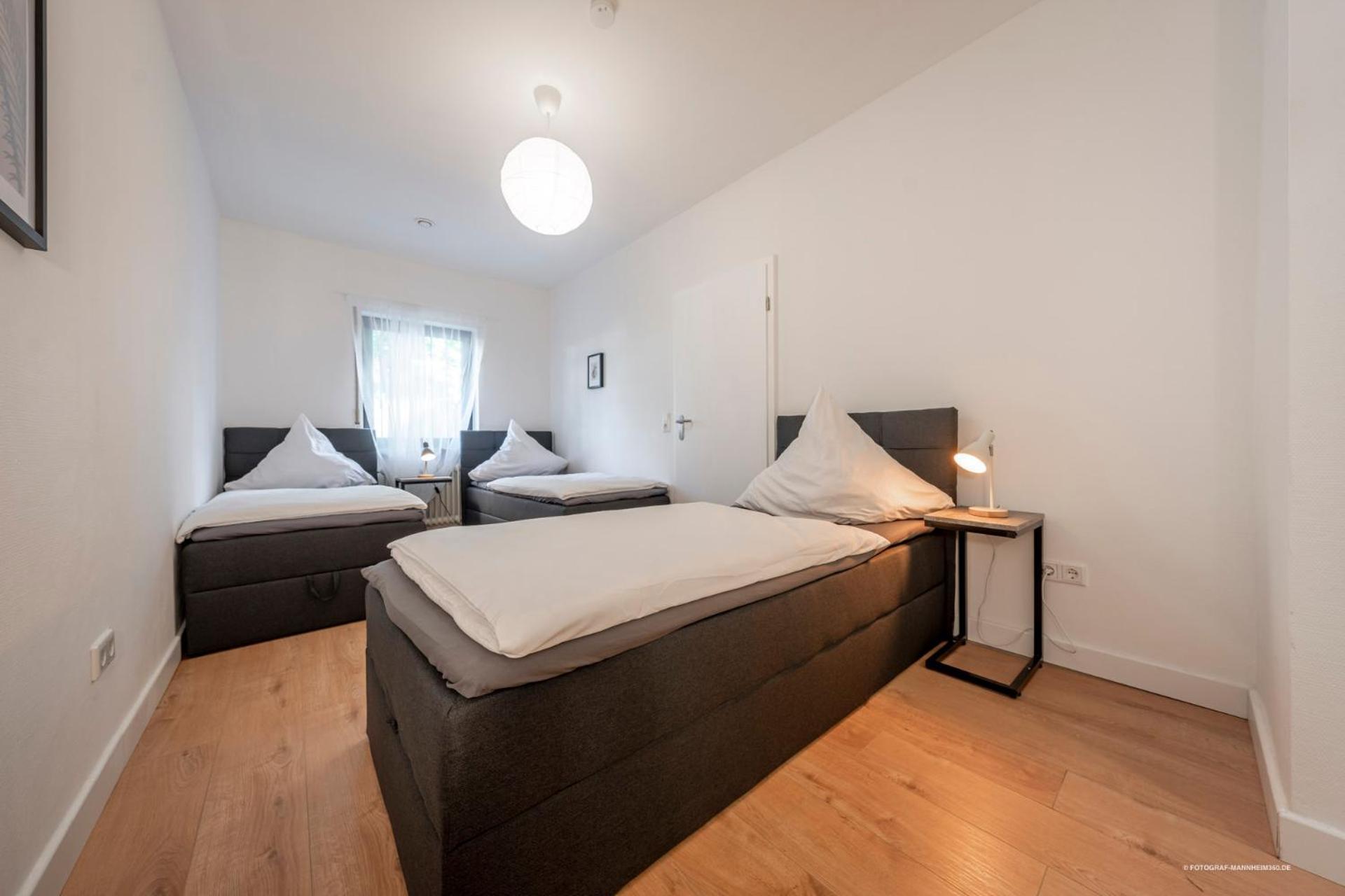 Xxl Design-Appartement Highdesign 10 Pers Zentral Naehe Heidelberg Und Mannheim فينهايم المظهر الخارجي الصورة