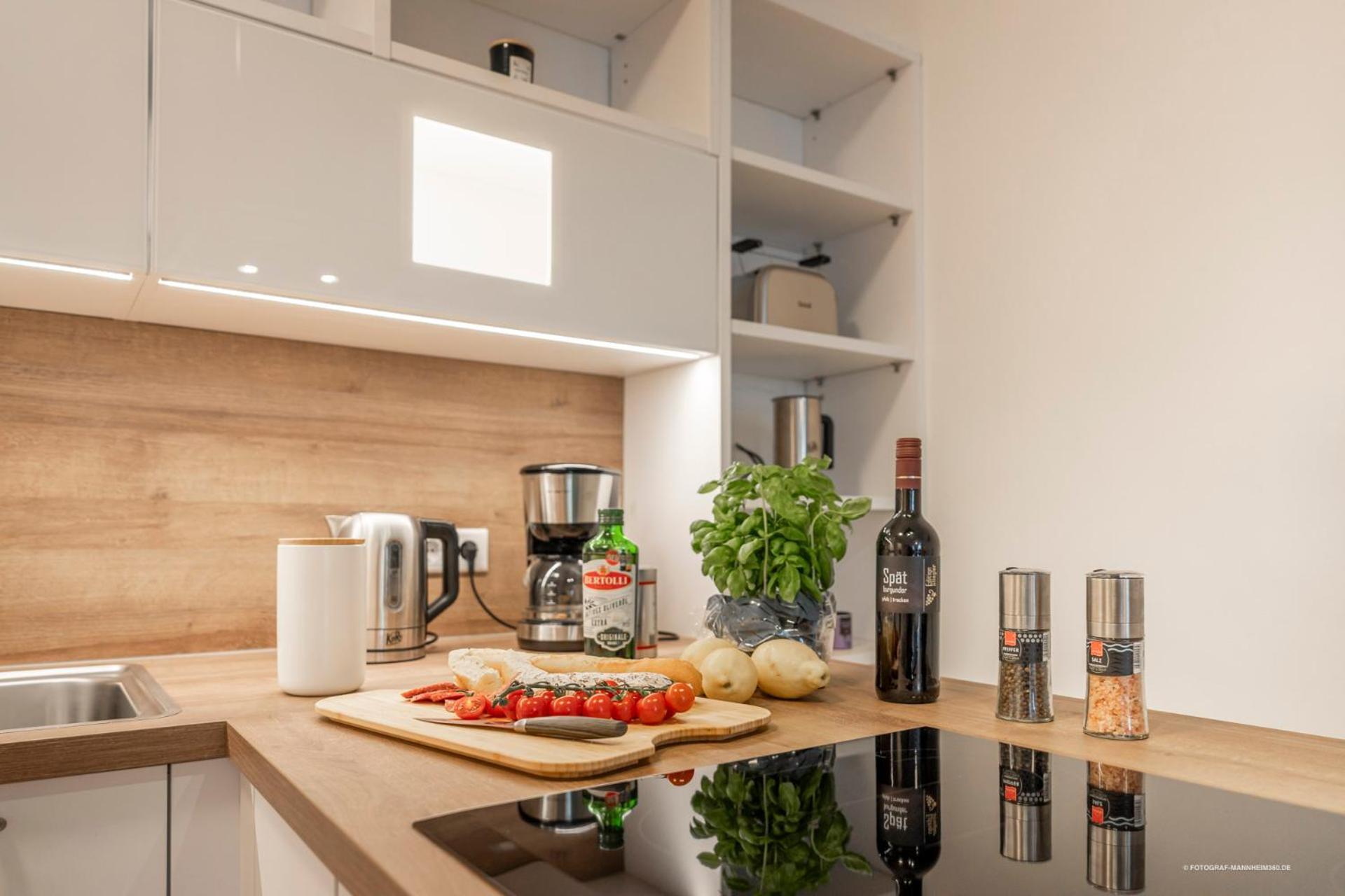 Xxl Design-Appartement Highdesign 10 Pers Zentral Naehe Heidelberg Und Mannheim فينهايم المظهر الخارجي الصورة