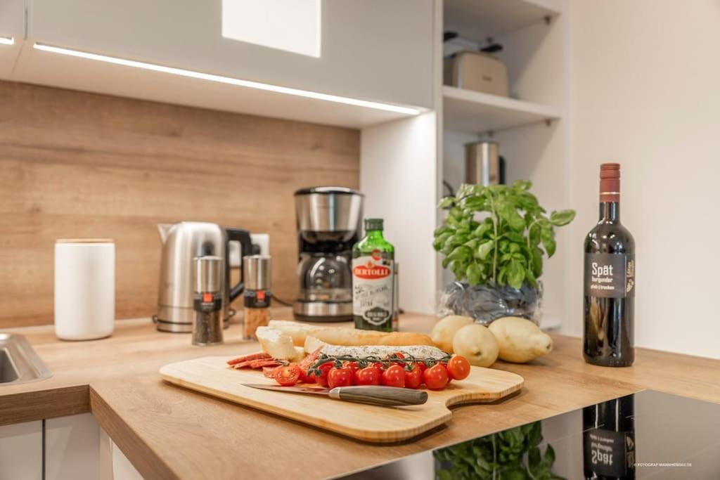 Xxl Design-Appartement Highdesign 10 Pers Zentral Naehe Heidelberg Und Mannheim فينهايم المظهر الخارجي الصورة